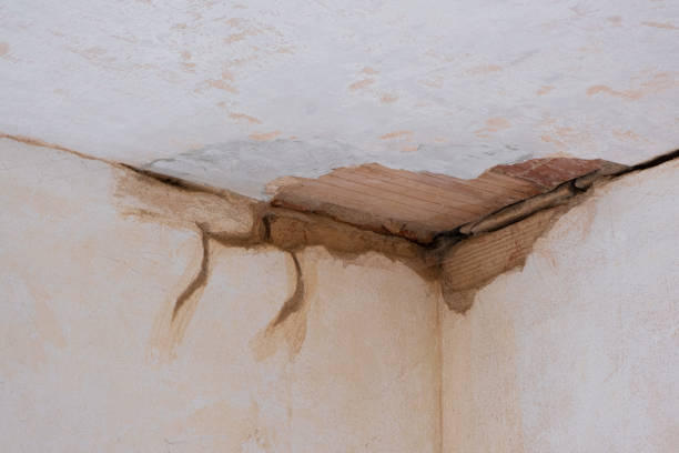 Best Basement water damage restoration  in Winthrop, MN
