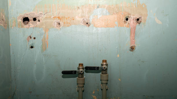 Best Professional water damage repair  in Winthrop, MN
