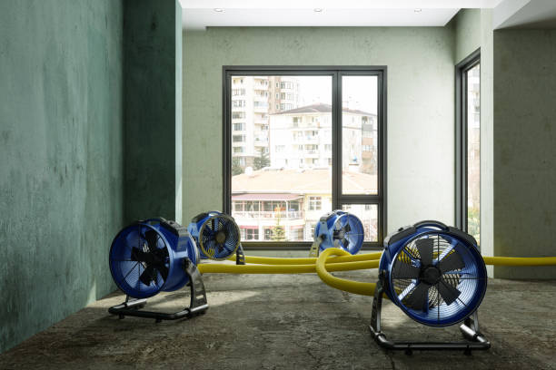 Best Commercial water damage restoration  in Winthrop, MN